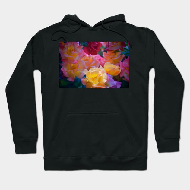 Rose 277 Hoodie by secretgardener